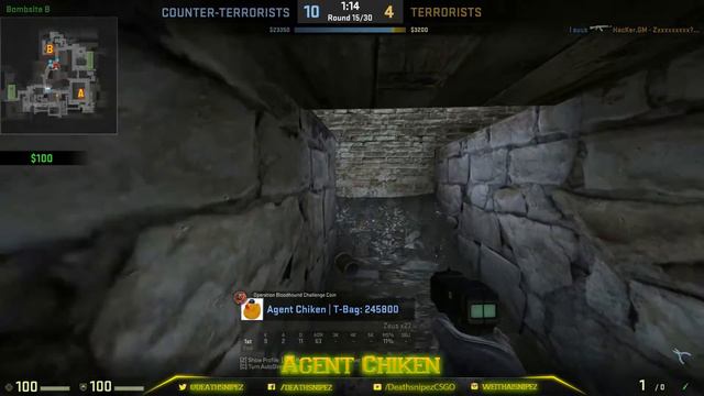 [CS:GO] Agent Chiken - Zeus смотреть онлайн