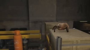 Top Funny Half Life 2 Animation Videos