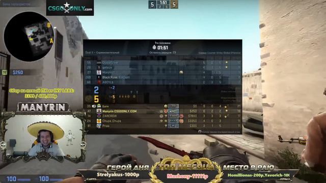 Реакция мангуста в Counter-Strike: Global Offensive смотреть онлайн