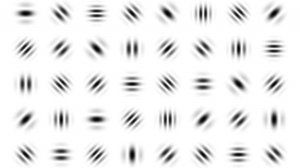 Пятна Габора для тренировки глаз. Поиск одинаковых пятен Габора.