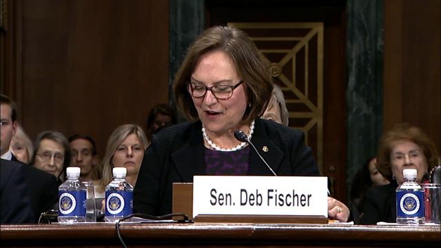 Senator Deb Fischer introduces Brian Buescher to the Senate Judiciary Committee смотреть онлайн