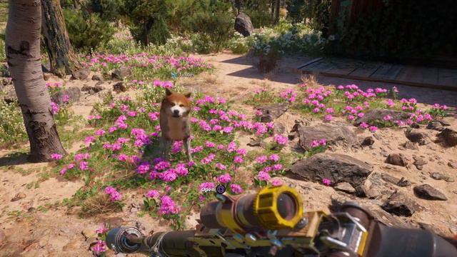Far Cry® New Dawn dancing Timber смотреть онлайн