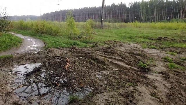 ЛЕСНЫЕ БЕСЕДЫ. Мы - Рабы телефонов смотреть онлайн