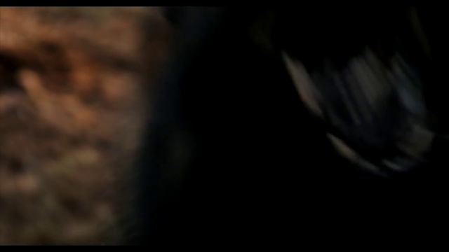 068. Конец (фильм про пенис)