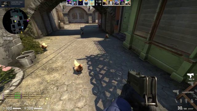 CS GO - My Pipi farm смотреть онлайн