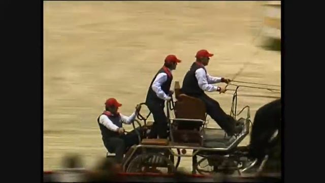 Jumping Bordeaux World Cup : Werner Ulrich смотреть онлайн