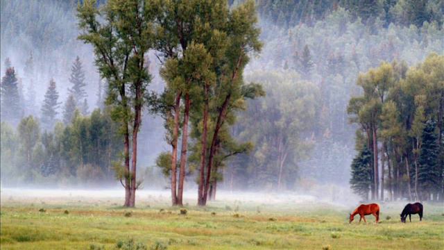 66 Al Tahrim (complete)+(English translation) смотреть онлайн