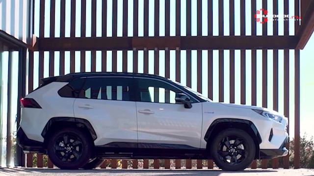 Toyota RAV4 vs. Kia Sportage – Кто лучше для городской жизни? смотреть онлайн