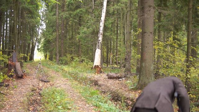 Какой из ПИСТОЛЕТОВ-АРБАЛЕТОВ сильнее ПРОБЬЕТ ДСП? | Пистолет АРБАЛЕТ BEARHUNTER MAMBA смотреть онлайн