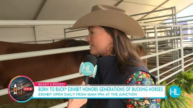 HL At Rodeo Houston Born to Buck Houston Life Live смотреть онлайн