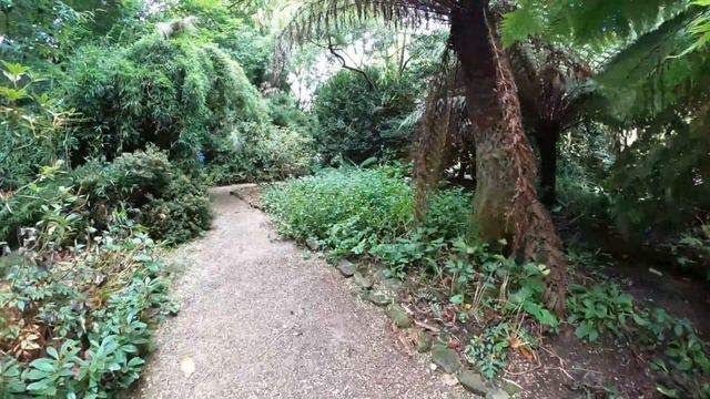 TRENGWAINTON garden's MADRON near PENZANCE CORNWALL ENGLAND. смотреть онлайн