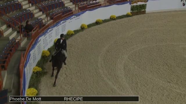 1257 RHECIPE Phoebe De Mott, Class 112 Pre Green Hunter 3' смотреть онлайн