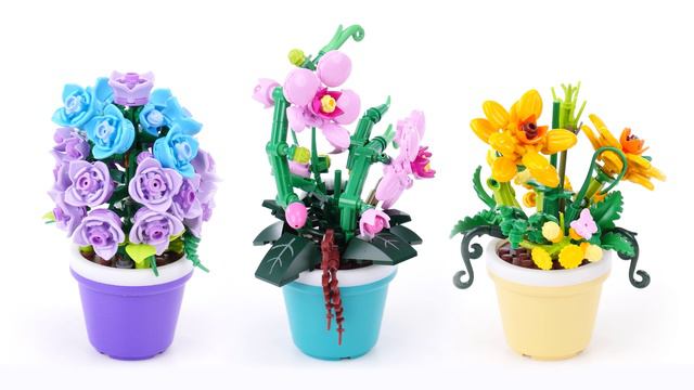 83183_TOY_00953_GL_MAX Premium Logo update on Demo Videos_Garden смотреть онлайн