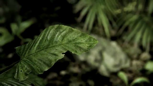 CryEngine 3 - Движок Crysis 3 смотреть онлайн