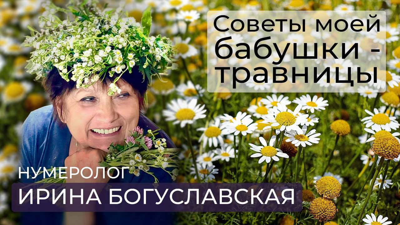 Нумеролог Ирина Богуславская о целебных свойствах росы и пользе цикория /Народная медицина смотреть онлайн