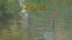 Рыбалка в сентябре на поплавок на речке