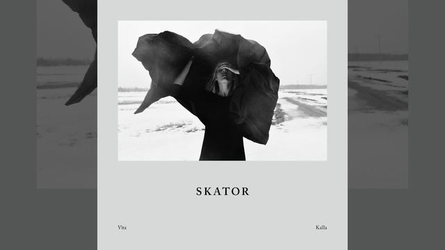 Du svider смотреть онлайн