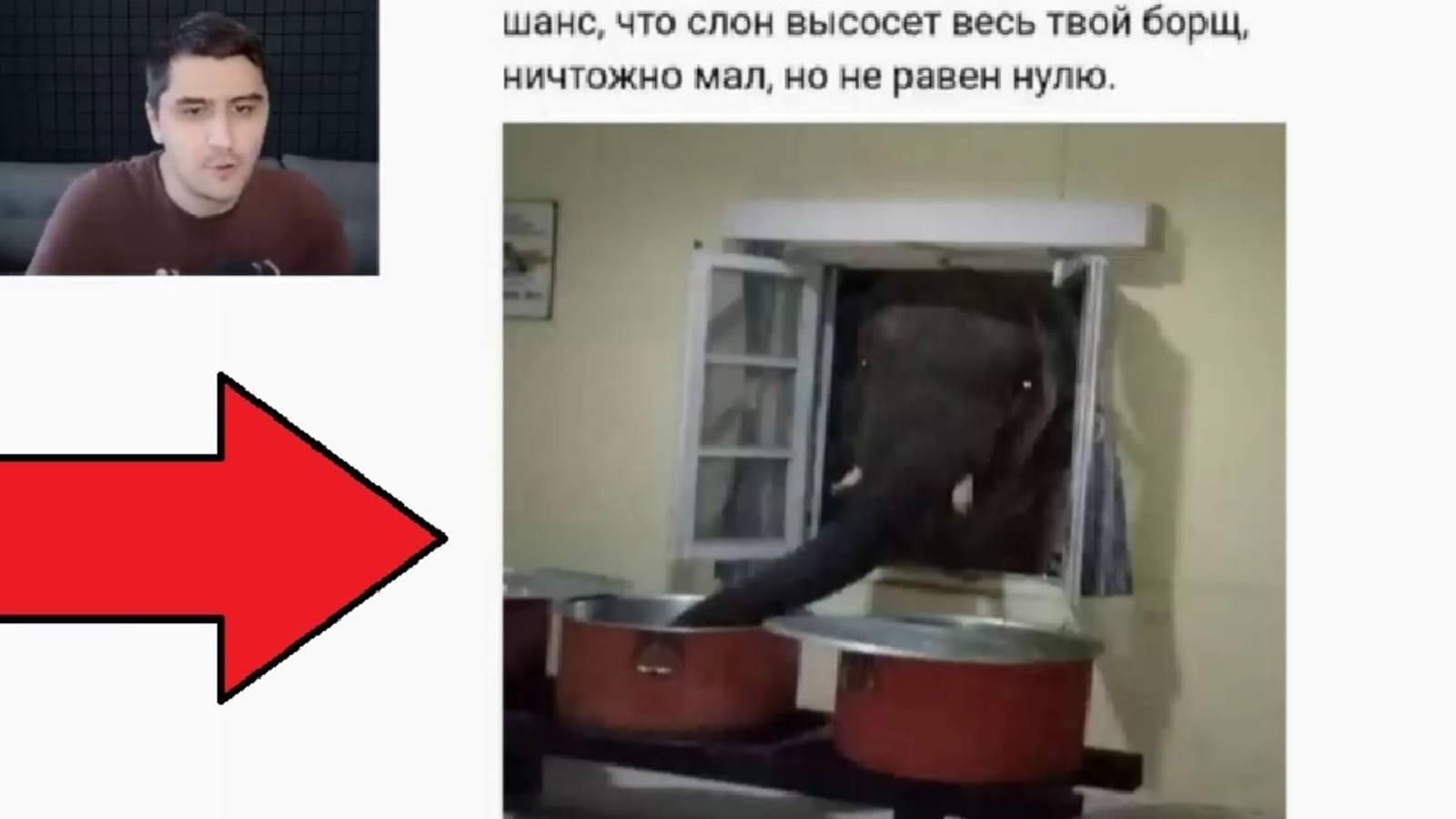 Лютые мемы. Шанс, что слон высосет твой борщ, ничтожно мал, но не равен нулю смотреть онлайн