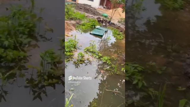 Септик утонул смотреть онлайн