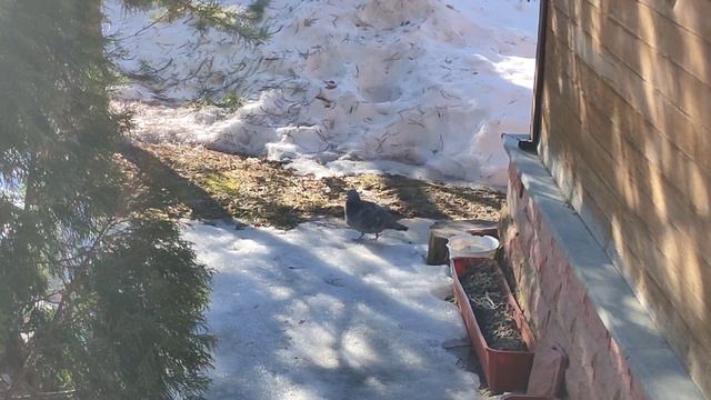 АНАСТАСИЯ. Кто я на канале смотреть онлайн