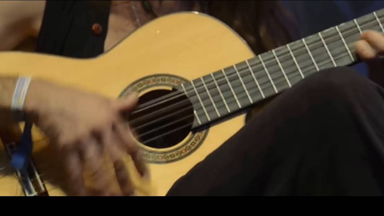 ESTAS TONNE Internal Flight 
Guitar_version
