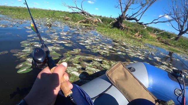 В Саргассах Черноземья смотреть онлайн