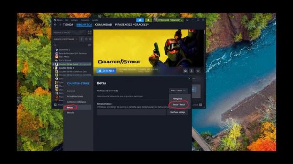 how to FIX COUNTER STRIKE 1.6 STEAM - assertion failed visual c++