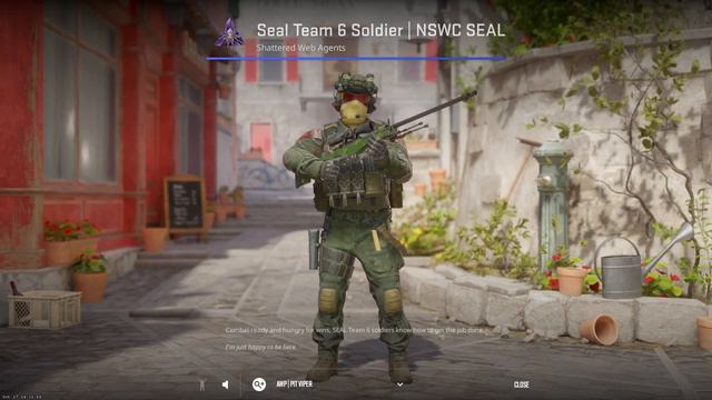 CS2 Seal Team 6 Soldier | NSWC SEAL - Counter-Strike 2 Agent Skin Showcase & Inspect смотреть онлайн