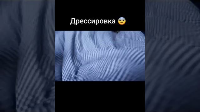 прикол смотреть онлайн