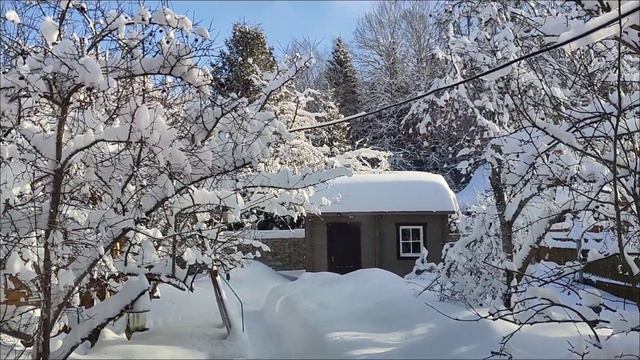 Анастасия. Зимние прогулки смотреть онлайн