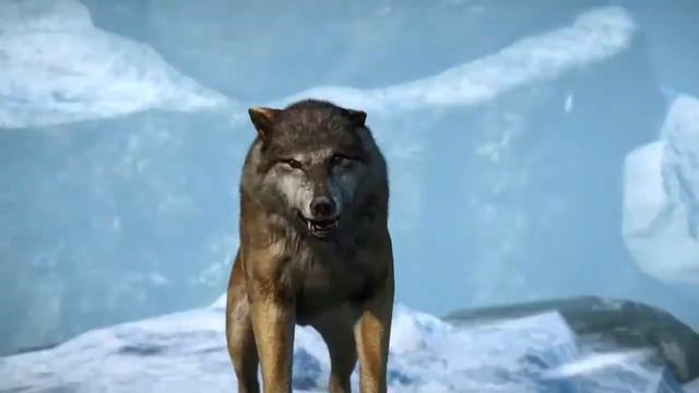 we are number one far cry 4 gun sync смотреть онлайн