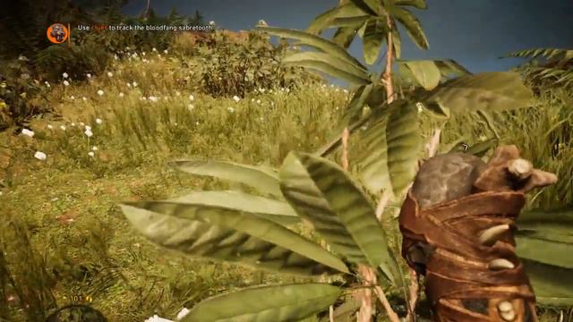 Far Cry Primal Walkthrough Gameplay смотреть онлайн