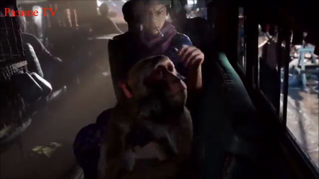 ТОП 5 игр серии Far Cry смотреть онлайн