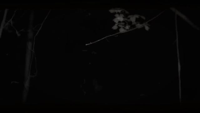 Нельзя Засыпать! - Все Серии От Worldbegemotkot смотреть онлайн