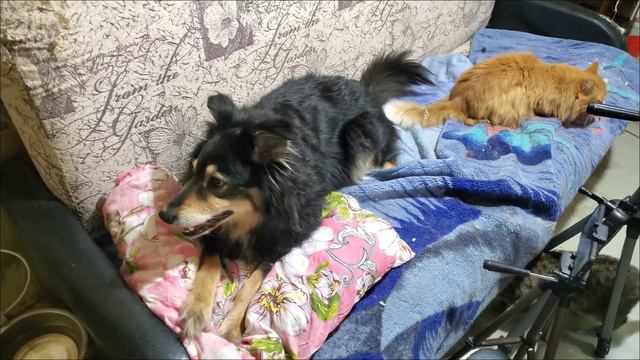 После Беседушки. Спасибо, что пришли, Друзья! смотреть онлайн