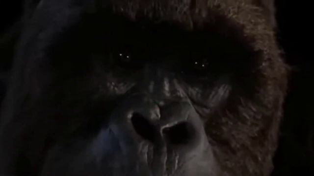 Клип~Джо Янг/Слышу шепот в темноте