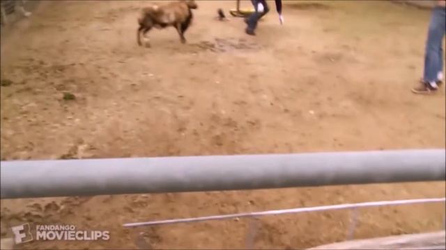 Jackass: Half-Life dub смотреть онлайн