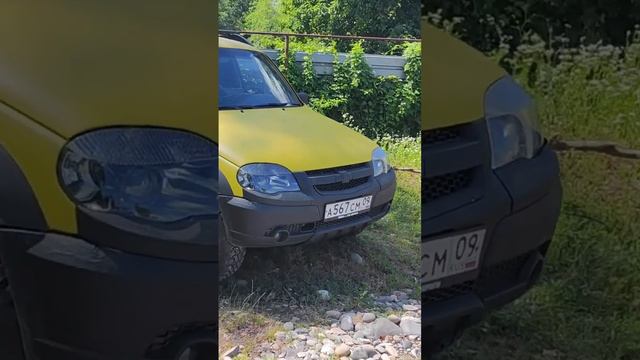 Проблема шнивы смотреть онлайн