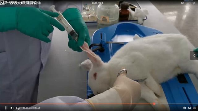 #Assay of Lab Half life of drugs part 1 #significance of drugs #peak time of drug #elimination смотреть онлайн