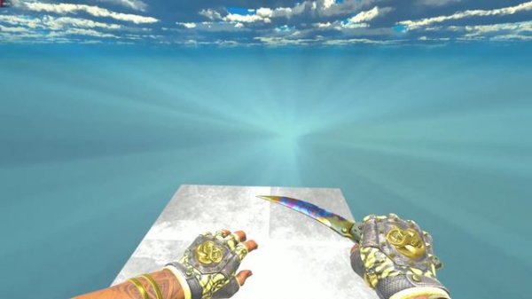 Flip Knife Case Hardened (Battle-Scarred) | CS2 Skin Showcase #491