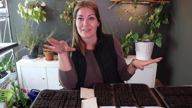 'How to Grow' Series - Zinnias! смотреть онлайн