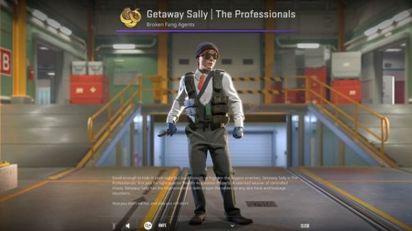 The BEST CS2 Agent Voice Lines...