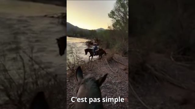 Le Zap De Cokaïn.fr #shorts