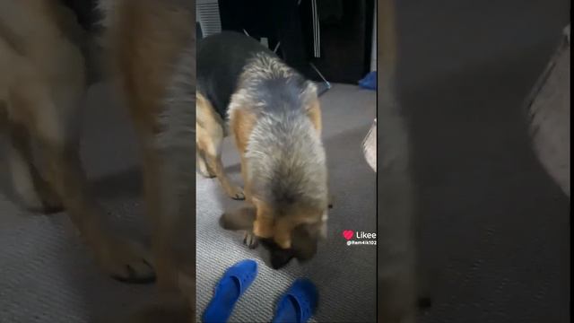 какое это счастье жить смотреть онлайн