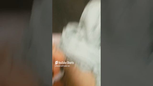 24 сентября 2024 г..mp4 смотреть онлайн