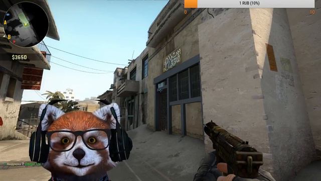 Енот играет в CS:GO\\Игра с подписчиками смотреть онлайн