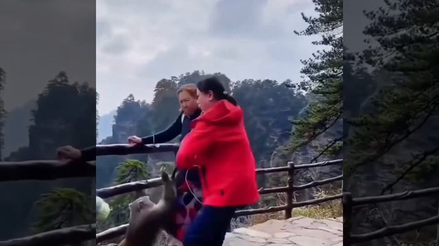 Осторожно, обезьяны