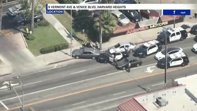 Применение оружия полицейскими- Калифорния Техас [Выпуск 190 2024] смотреть онлайн