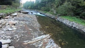 24 ЧАСА В ЛЕСУ КАРПАТ. РЫБАЛКА НА СПИННИНГ НА ФОРЕЛЬ [2020 год]