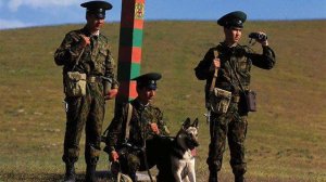 пограничники